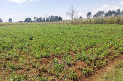 Prime Plots Opposite KARI Njoro