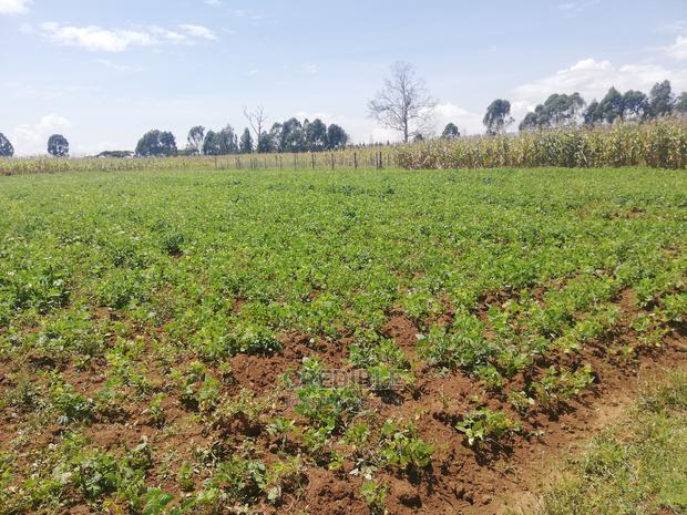 Prime Plots Opposite KARI Njoro