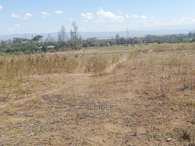Prime Plots at Miti Mingi Behind Exxo Petrol Station