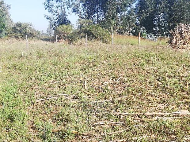 Affordable Plot at Tabuga Lanet for Sale.