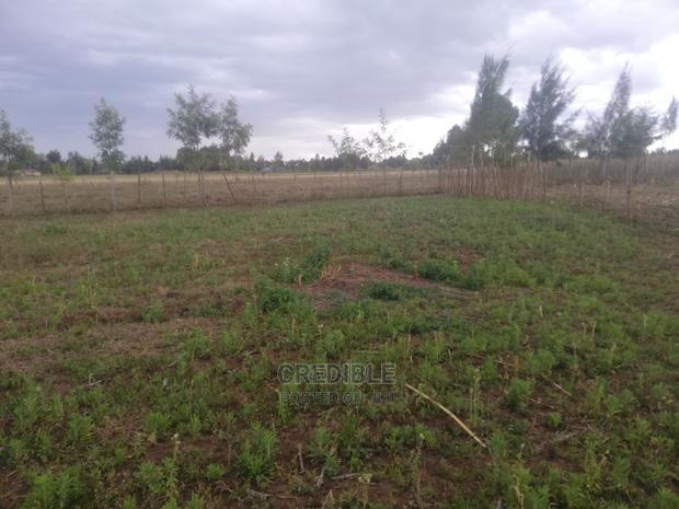 Plots for Sale at Ngecha Njoro