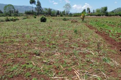 Prime Plots 70 Metres From the Tarmac at Subukia in Nakuru.