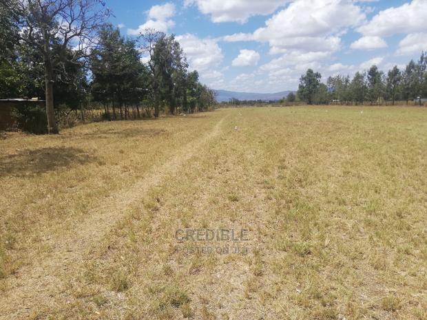 Superb Plots at Mangu Nakuru for Sale