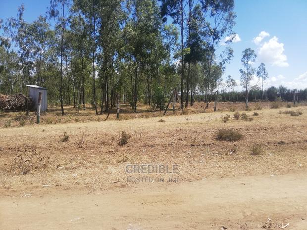 Ideal Plots Next to Surtan Primary in Miti Mingi for Sale