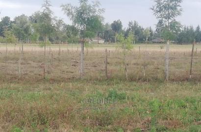 Plots for Sale at Ngecha Njoro