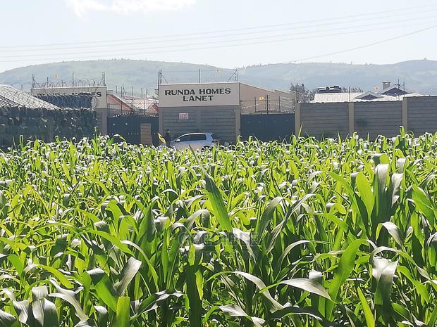 Superb Plot at Runda Lanet in Nakuru for Sale