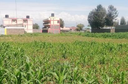 Superb Plots 100 Metres From Tarmac at Kijabe in Nakuru