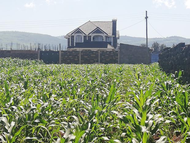Superb Plot at Runda Lanet in Nakuru for Sale