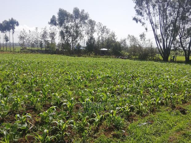 Affordable Plots at Njoro Nakuru