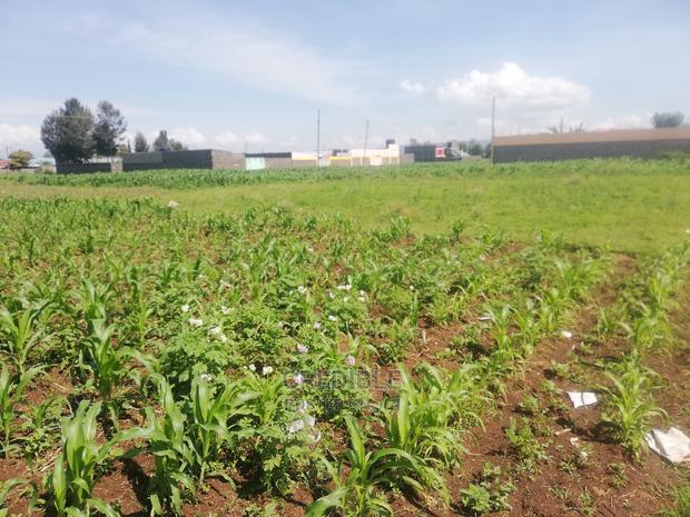 Superb Plots 100 Metres From Tarmac at Kijabe in Nakuru