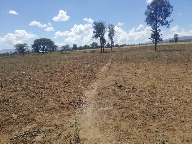 Ideal Plots Next to Surtan Primary in Miti Mingi for Sale