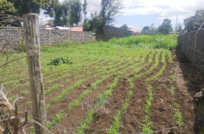 Superb Plot at Mercy Njeri in Nakuru for Sale