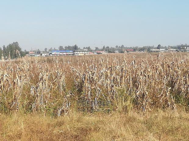 An Eighth 500 Metres From Tarmac at Methodist Lanet