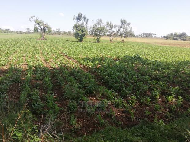 Affordable Plots at Njoro Nakuru