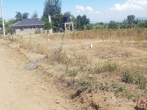 Prime Plots at Miti Mingi Behind Exxo Petrol Station