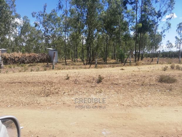 Ideal Plots Next to Surtan Primary in Miti Mingi for Sale