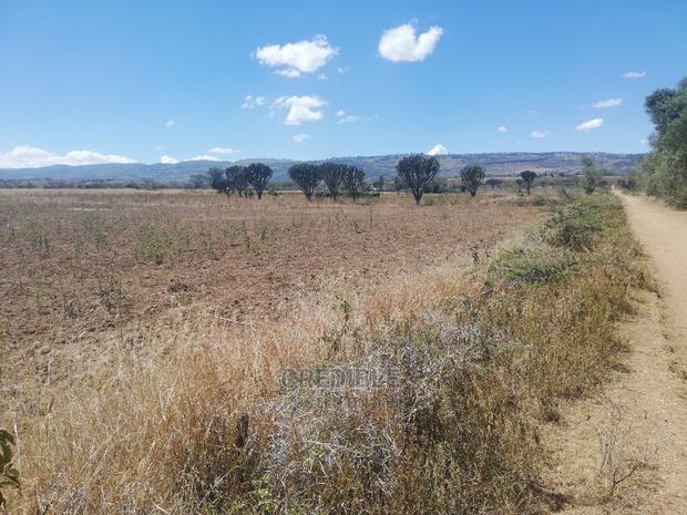 Ideal Plots Next to Surtan Primary in Miti Mingi for Sale