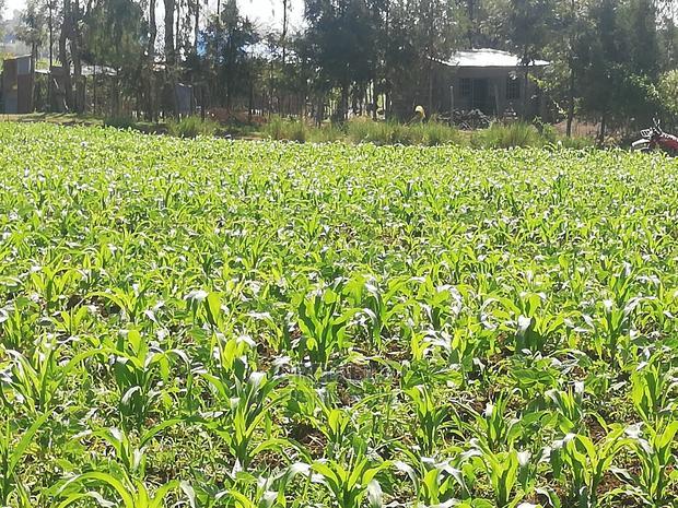 Affordable Plots at Njoro Nakuru