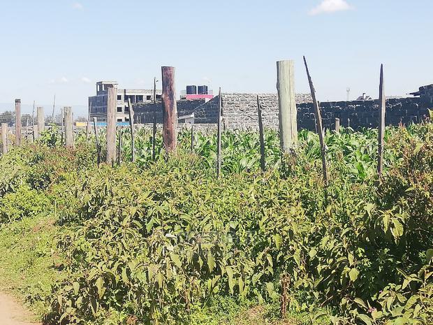 Superb Plot at Runda Lanet in Nakuru for Sale