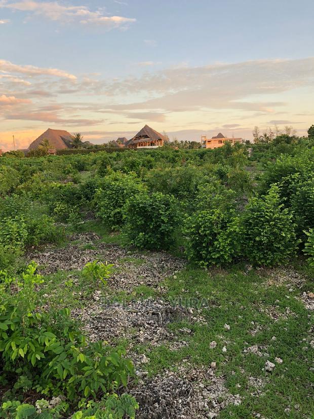 An Acre Piece of Land in Watamu