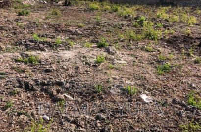 Half an Acre Land in Watamu