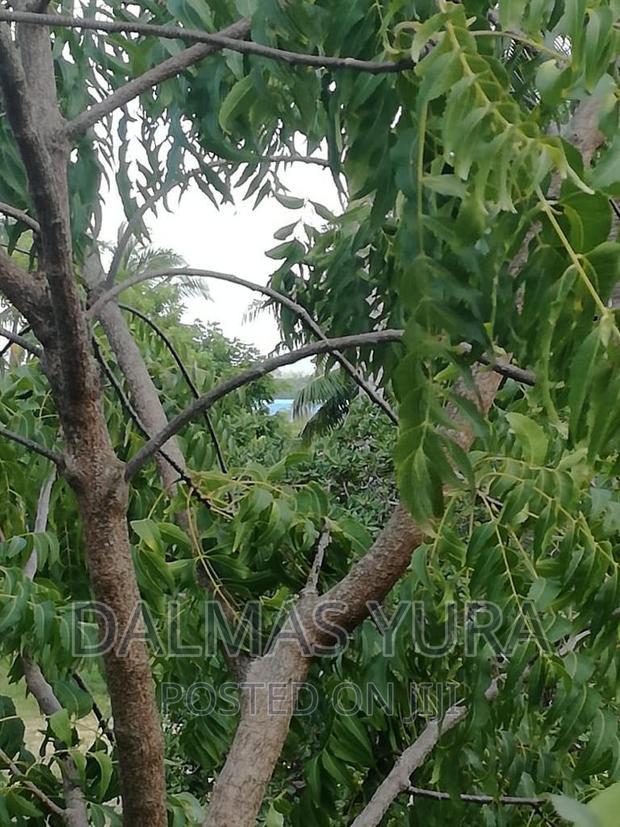 3/4 of an Acre at Dongokundu in Watamu