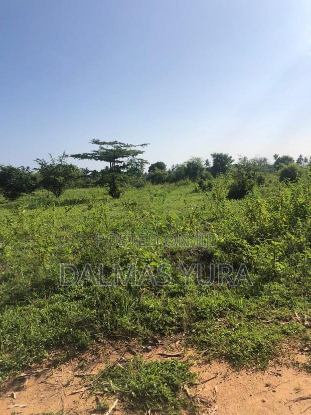An Acre Land in Gede - Watamu