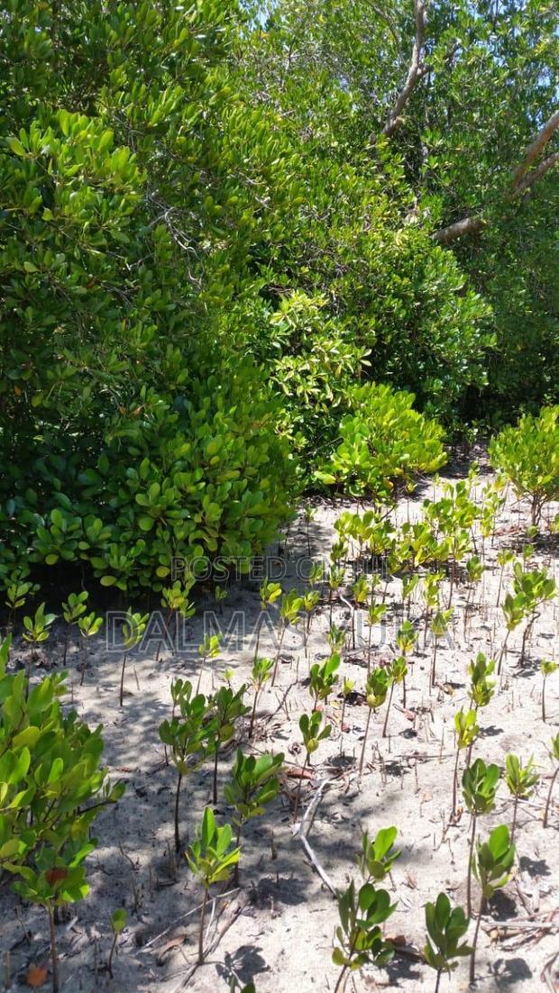 2 Acres of Land in Watamu