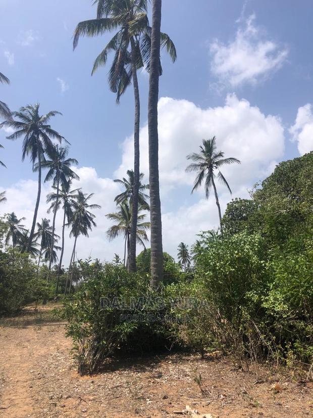 1 Acre Land in Dabaso