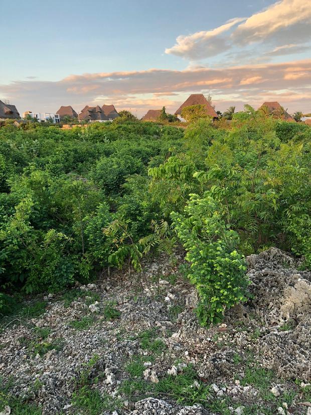 An Acre Piece of Land in Watamu