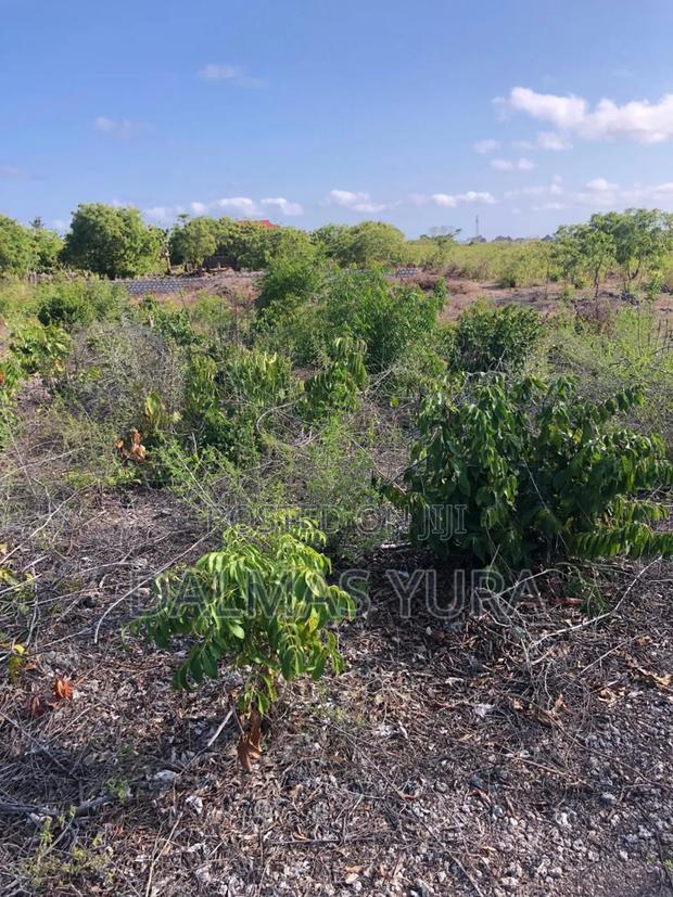 An Acre Land in Watamu