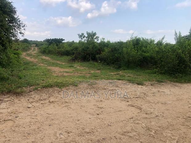 12 Acres of Land at Jacaranda in Watamu