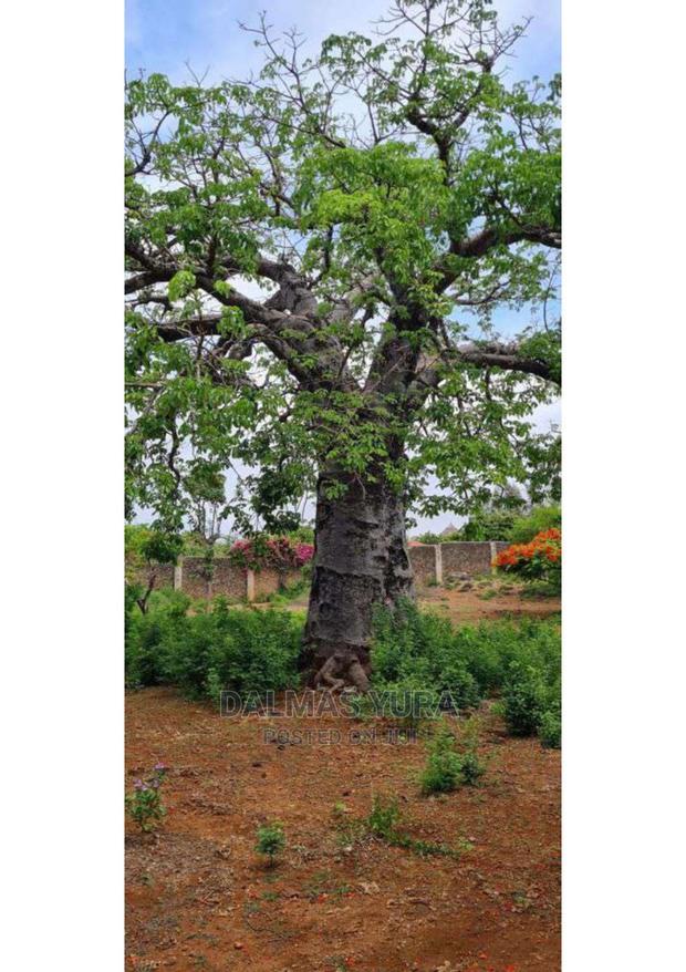 3 Acres of Prime Land, Casuarina - Malindi