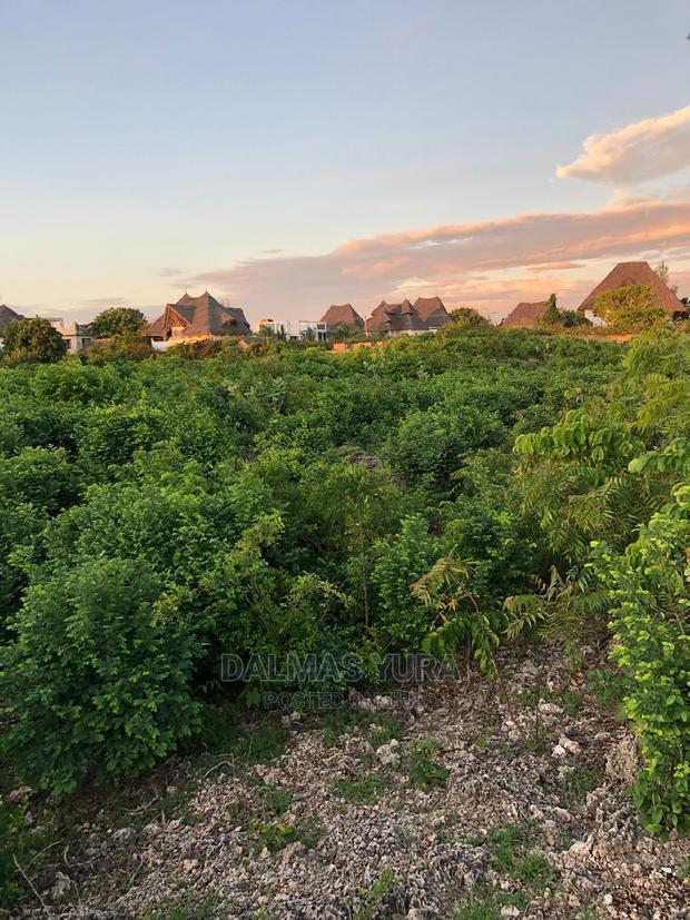 An Acre Piece of Land in Watamu