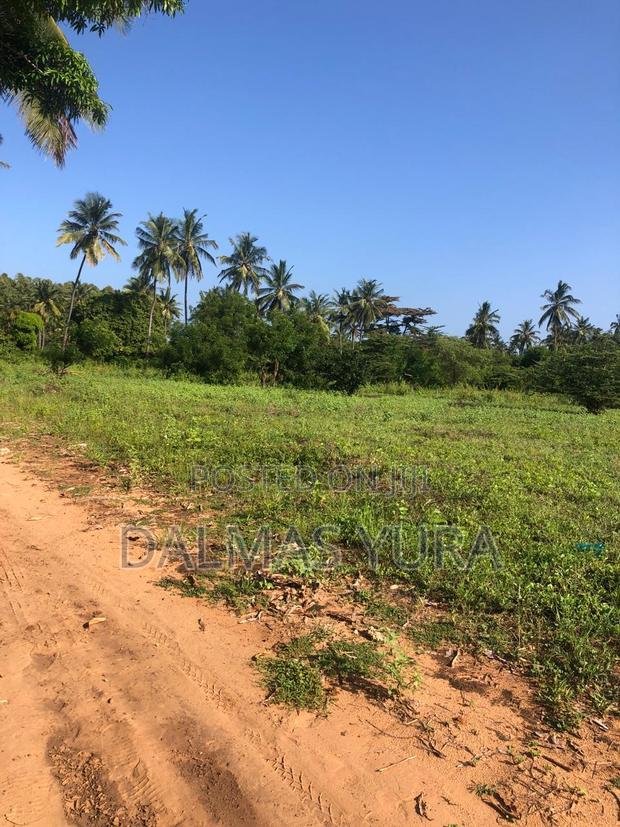An Acre Land in Gede - Watamu
