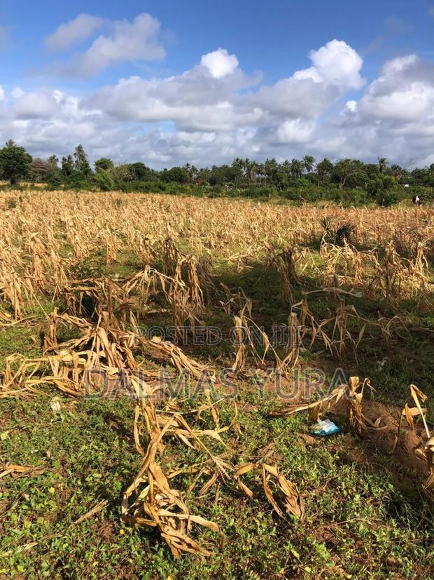 3 Acres of Land at Sita in Watamu