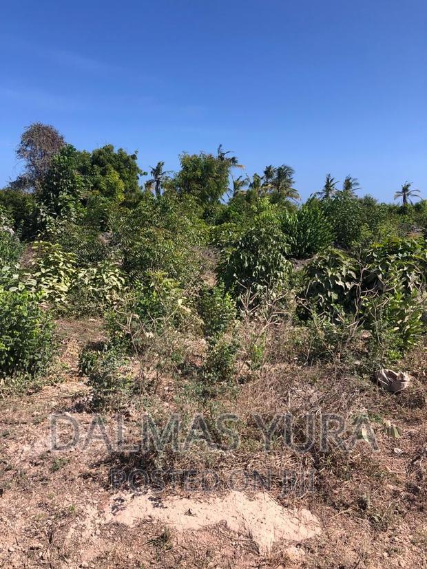 3/4 Acre Prime Land