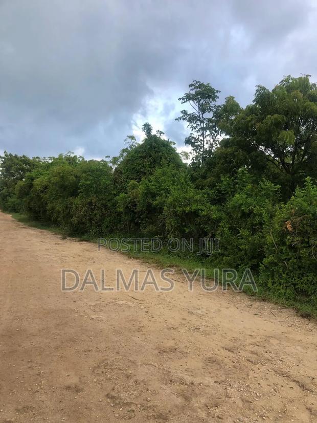 12 Acres of Land at Jacaranda in Watamu