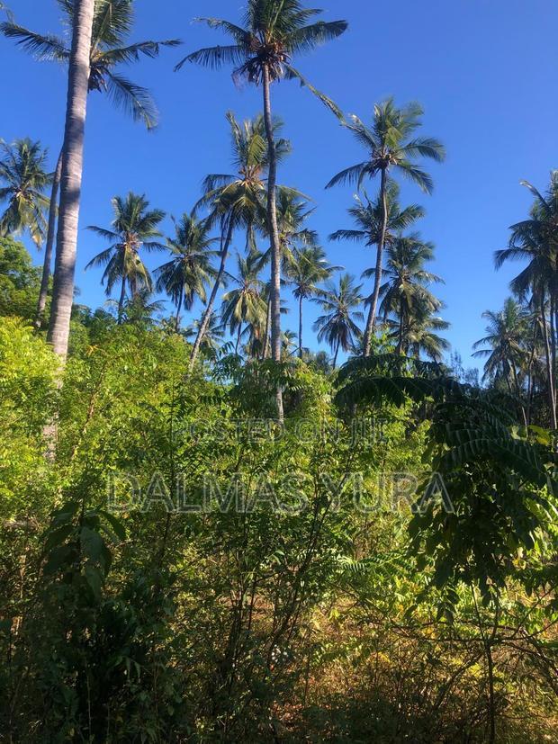 A Quarter an Acre Land at Dongokundu in Watamu