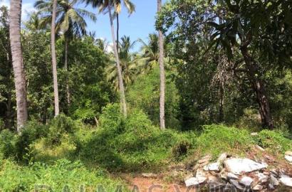 3/4 Acre Prime Land
