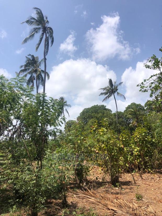 1 Acre Land in Dabaso