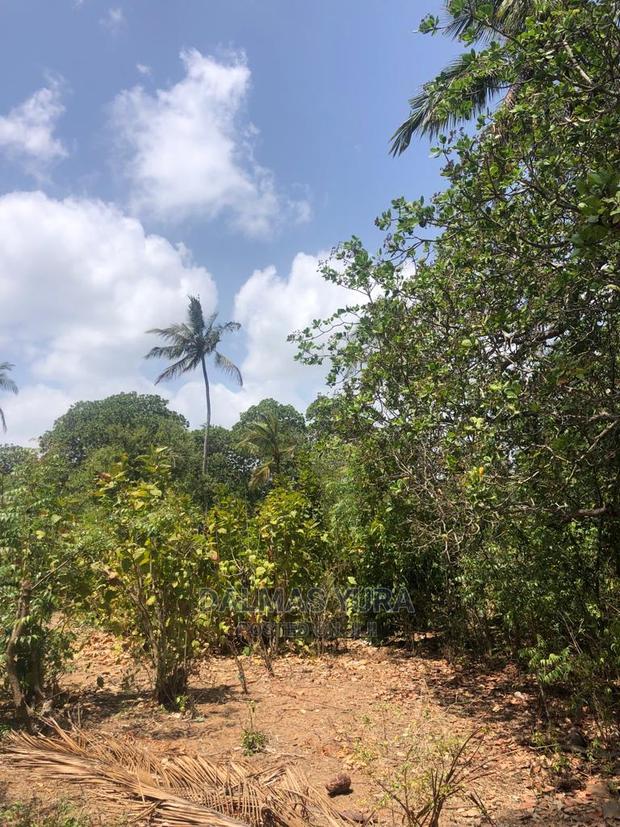 1 Acre Land in Dabaso