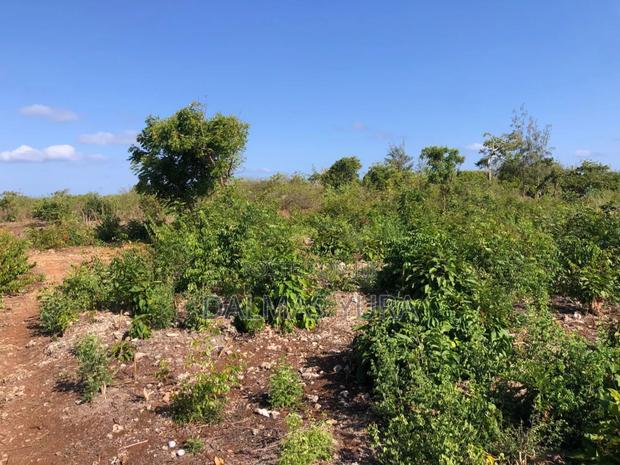 An Acre Land in Watamu