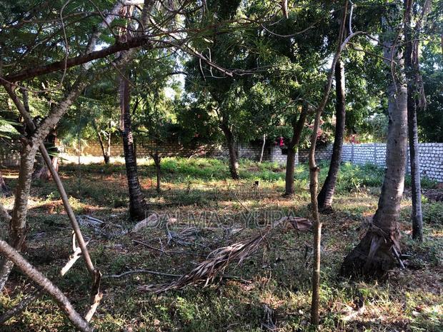 1/4 an Acre Land in Watamu