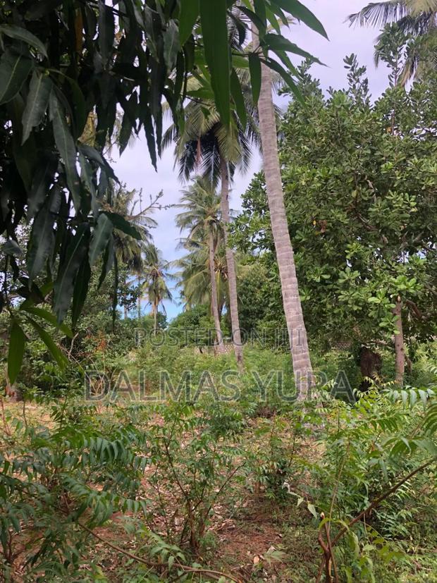 An Acre Land Along Gede-Watamu Road