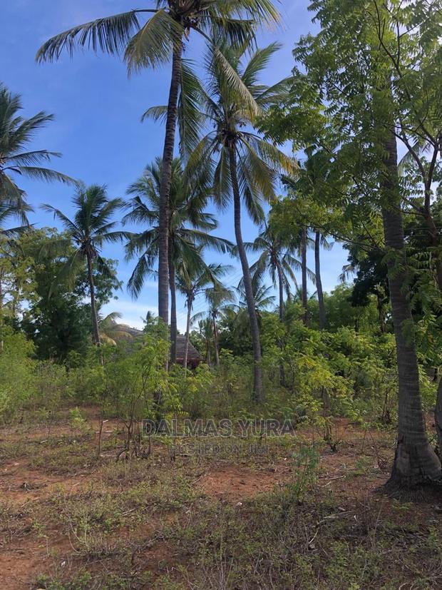 3 Acres of Land in Watamu