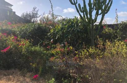 3200 Mtsq Piece of Land