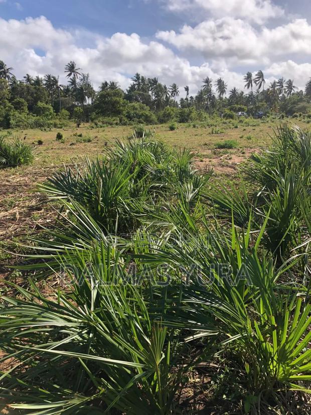 3 Acres of Land at Sita in Watamu