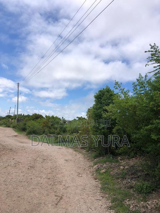 One and a Half Acres in Watamu