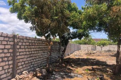 Prime Plot in Watamu